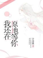 我还在原地等你封面