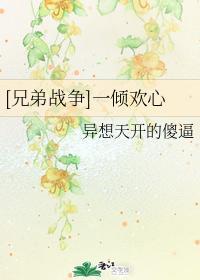 [兄弟战争]一倾欢心封面
