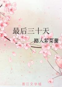[网游]最后三十天封面
