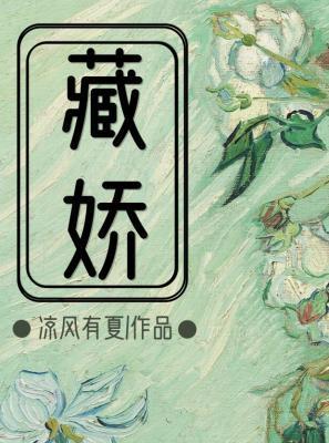 藏娇封面