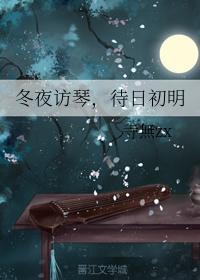 冬夜访琴，待日初明封面