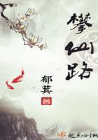 攀仙路封面