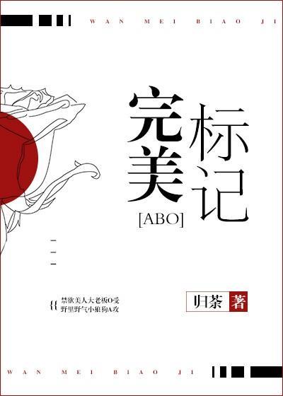 完美标记封面