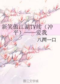新笑傲江湖TV续（冲平）——爱我封面