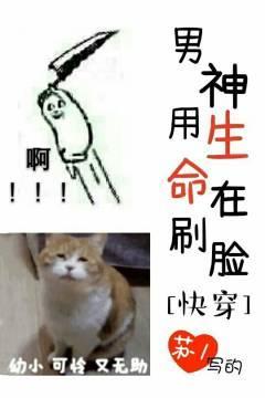 男神用生命在刷脸[快穿]封面