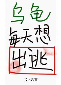 乌龟每天想出逃封面