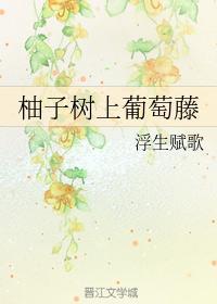 柚子树上葡萄藤封面