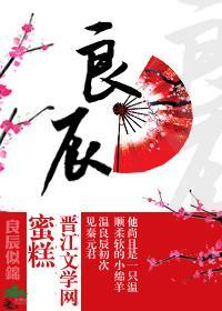 良辰封面