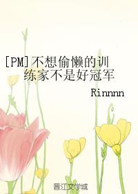 [PM]不想偷懒的训练家不是好冠军封面