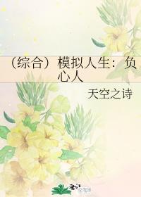 （综合）模拟人生：负心人封面