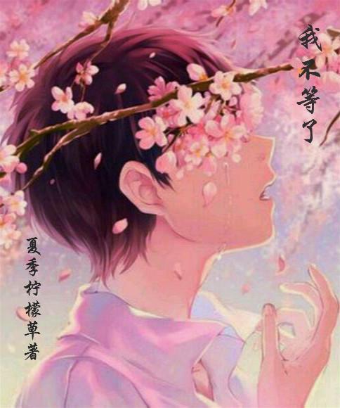 我不等了封面
