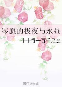 岑愿的极夜与永昼封面