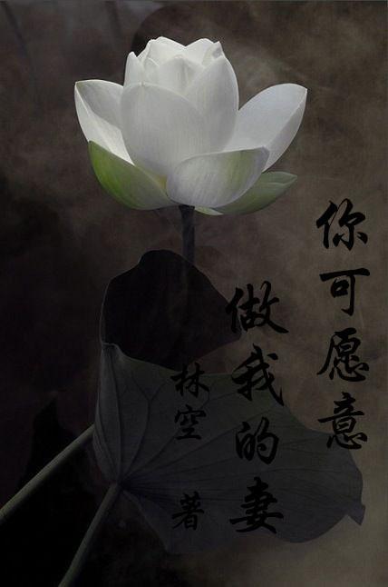 你可愿意，做我的妻GL封面
