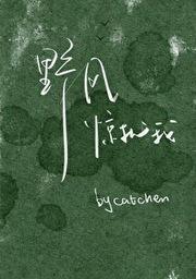 野风惊扰我封面
