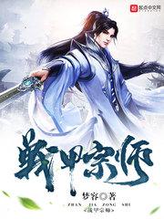 战甲宗师封面
