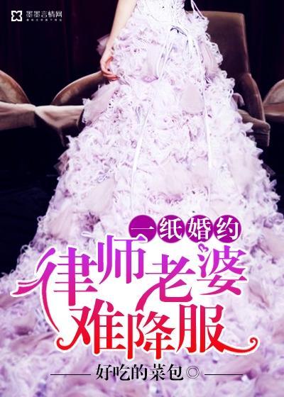 一纸婚约：律师老婆难降服封面