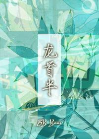 龙首半封面