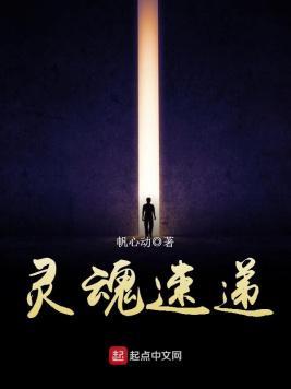 灵魂速递封面