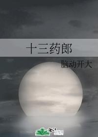十三药郎封面
