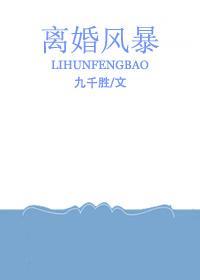 离婚风暴封面