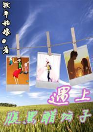 遇上腹黑醋坛子封面