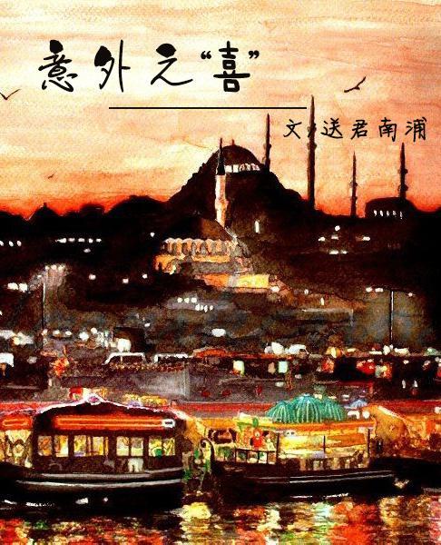 意外之喜封面