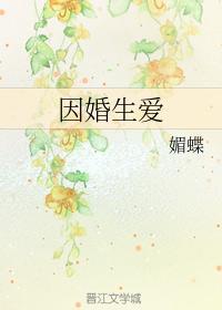 因婚生爱封面