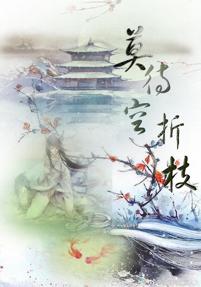 莫待·空折枝封面