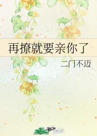再撩就要亲你了封面