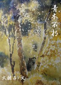 青木不朽封面