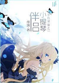 金色琴弦之小提琴伴侣封面