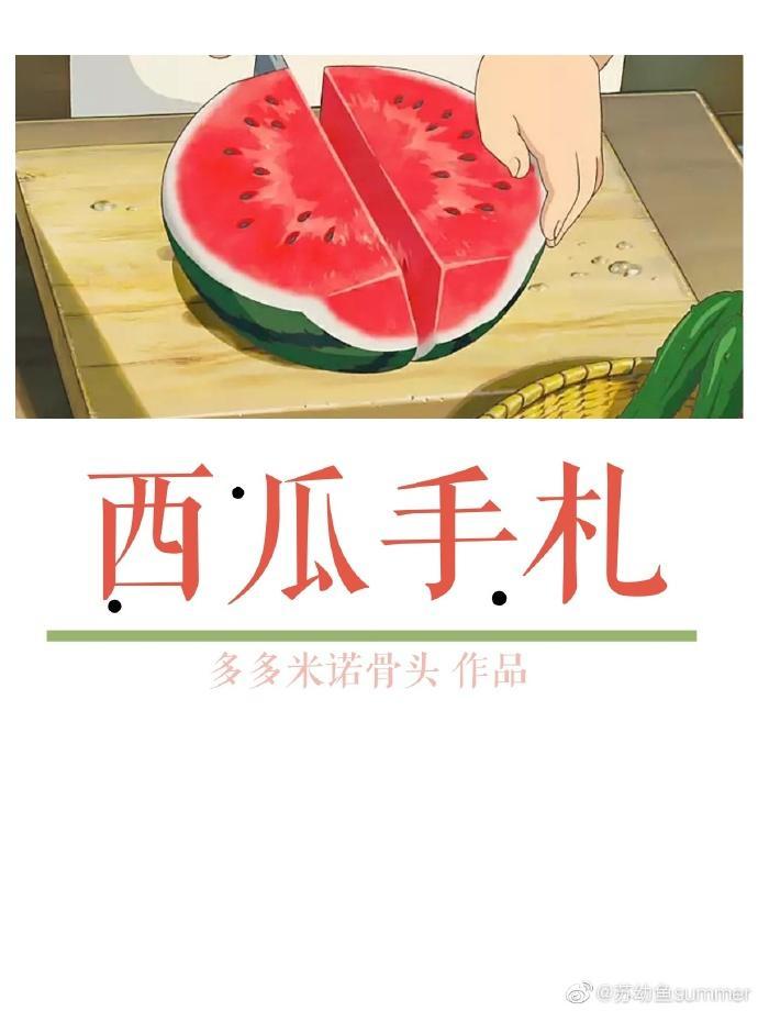 西瓜手札封面