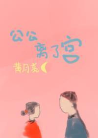 公公离了宫封面