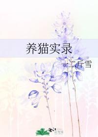 养猫实录封面