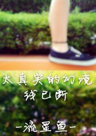太真实的幻境 2.0 —— 线已断封面