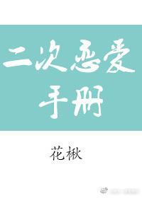 二次恋爱手册封面