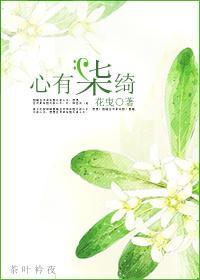 心有柒绮封面