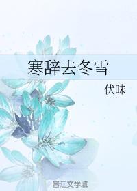 寒辞去冬雪封面
