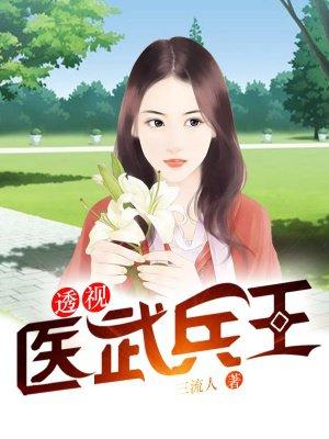 陆山河江月蓝封面