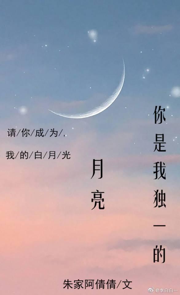 你是我独一的月亮封面