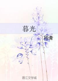 暮光封面