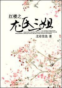 红楼之尤氏三姐封面