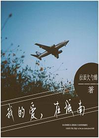 我的爱，在城南封面