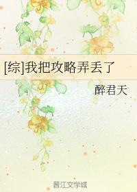 [综]我把攻略弄丢了封面