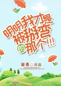 明明我才是被掰弯的那个封面