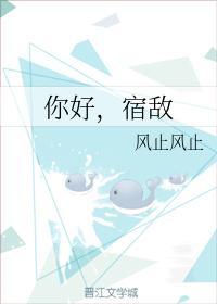 你好，宿敌封面