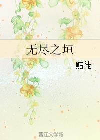 无尽之垣封面