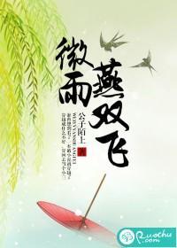 微雨燕双飞封面