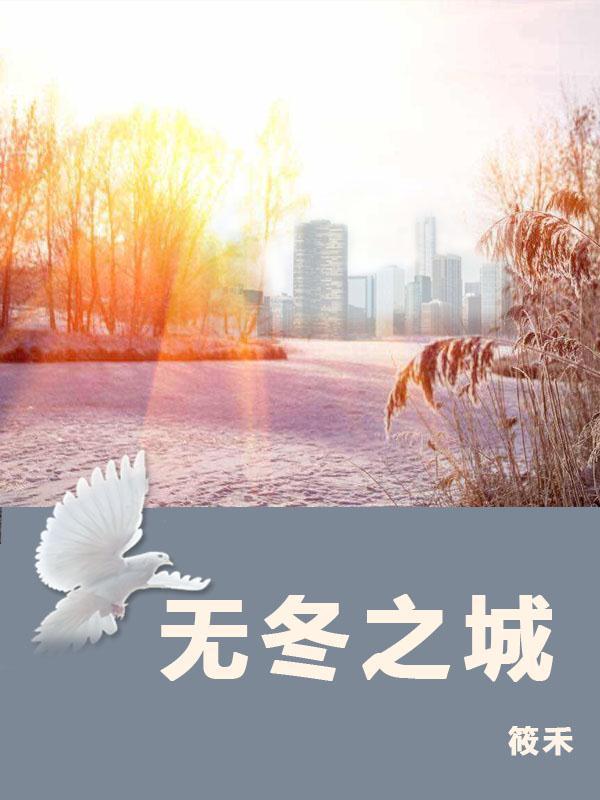无冬之城封面