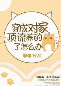 穿成对家顶流养的猫了怎么办封面